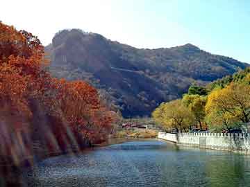 新澳精准资料免费大全，两生花祭